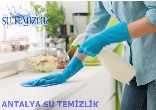 Uzman Temizlik Şirketleriyle Çalışmak